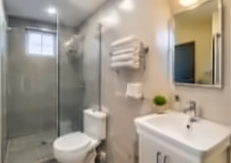Washroom with shower, toilet and face sink